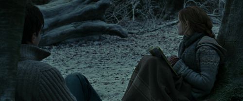 Click to view full size image
==============
RdM1-Potterish9510.jpg RdM1-Potterish9510.jpg