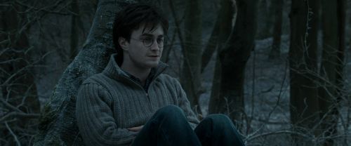 RdM1-Potterish9539.jpg