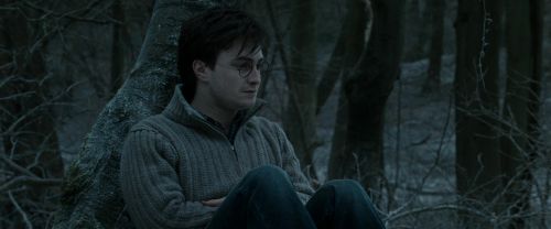 Click to view full size image
==============
RdM1-Potterish9544.jpg RdM1-Potterish9544.jpg