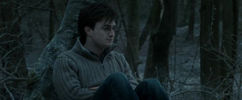 Click to view full size image
==============
RdM1-Potterish9545.jpg RdM1-Potterish9545.jpg