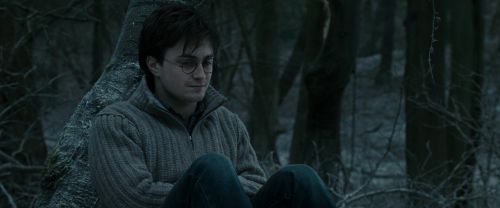 RdM1-Potterish9561.jpg