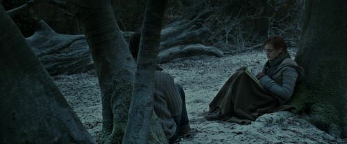 Click to view full size image
==============
RdM1-Potterish9564.jpg RdM1-Potterish9564.jpg