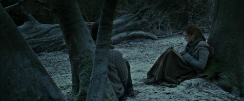 Click to view full size image
==============
RdM1-Potterish9566.jpg RdM1-Potterish9566.jpg