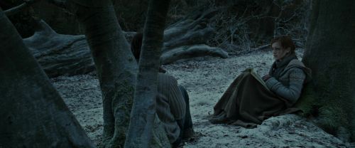 RdM1-Potterish9571.jpg