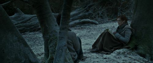 RdM1-Potterish9574.jpg