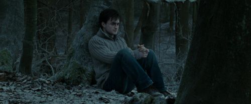 RdM1-Potterish9578.jpg