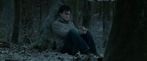 Click to view full size image
==============
RdM1-Potterish9580.jpg RdM1-Potterish9580.jpg