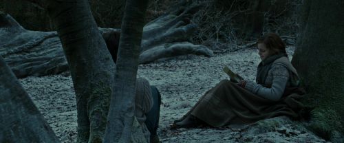 RdM1-Potterish9582.jpg