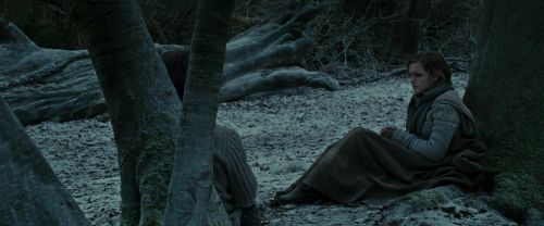 Click to view full size image
==============
RdM1-Potterish9588.jpg RdM1-Potterish9588.jpg