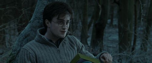 RdM1-Potterish9606.jpg
