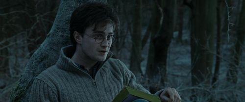 RdM1-Potterish9607.jpg