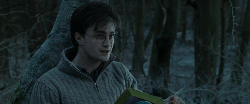 RdM1-Potterish9610.jpg