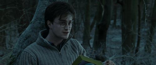Click to view full size image
==============
RdM1-Potterish9611.jpg RdM1-Potterish9611.jpg