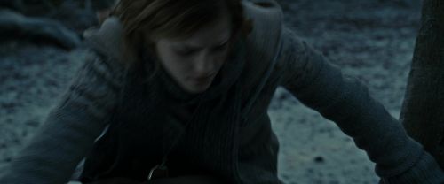 RdM1-Potterish9620.jpg