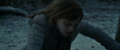 RdM1-Potterish9621.jpg
