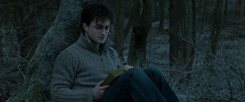 RdM1-Potterish9630.jpg