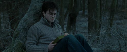 RdM1-Potterish9633.jpg