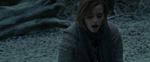 RdM1-Potterish9642.jpg