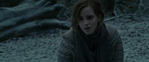 RdM1-Potterish9646.jpg