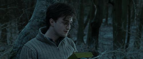 RdM1-Potterish9648.jpg