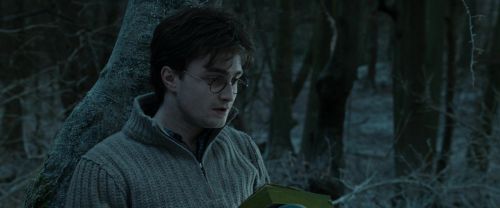 RdM1-Potterish9649.jpg
