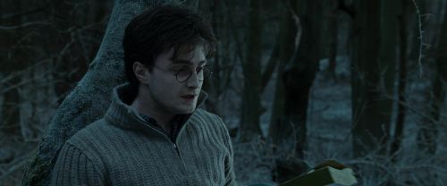 RdM1-Potterish9650.jpg