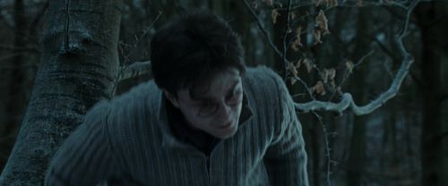RdM1-Potterish9656.jpg