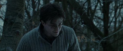 Click to view full size image
==============
RdM1-Potterish9658.jpg RdM1-Potterish9658.jpg