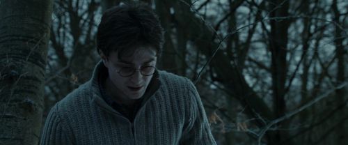 RdM1-Potterish9659.jpg