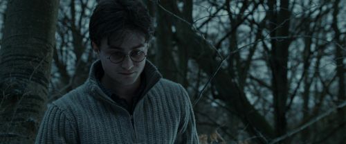 RdM1-Potterish9661.jpg