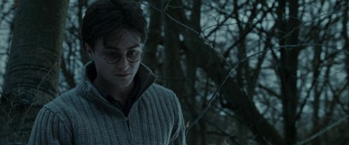 RdM1-Potterish9662.jpg