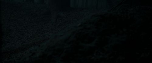 RdM1-Potterish9665.jpg