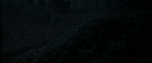Click to view full size image
==============
RdM1-Potterish9666.jpg RdM1-Potterish9666.jpg