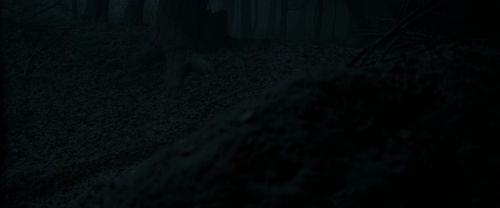 Click to view full size image
==============
RdM1-Potterish9667.jpg RdM1-Potterish9667.jpg