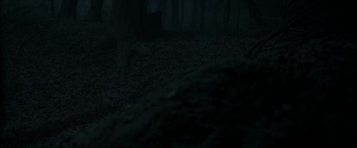 Click to view full size image
==============
RdM1-Potterish9668.jpg RdM1-Potterish9668.jpg