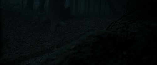 RdM1-Potterish9669.jpg