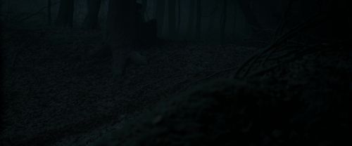 RdM1-Potterish9670.jpg