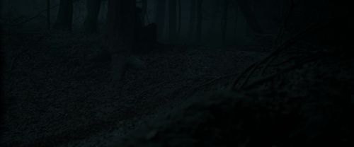 Click to view full size image
==============
RdM1-Potterish9671.jpg RdM1-Potterish9671.jpg