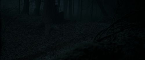 Click to view full size image
==============
RdM1-Potterish9672.jpg RdM1-Potterish9672.jpg