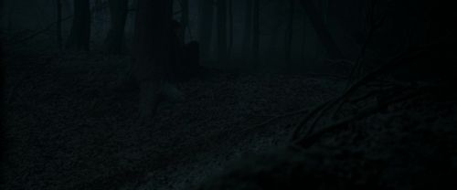 Click to view full size image
==============
RdM1-Potterish9673.jpg RdM1-Potterish9673.jpg