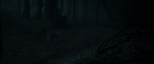 RdM1-Potterish9674.jpg