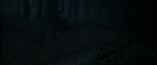 Click to view full size image
==============
RdM1-Potterish9675.jpg RdM1-Potterish9675.jpg