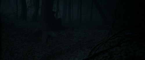 Click to view full size image
==============
RdM1-Potterish9676.jpg RdM1-Potterish9676.jpg