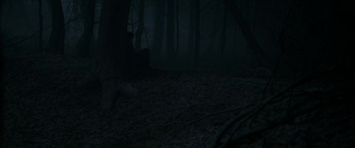 RdM1-Potterish9677.jpg