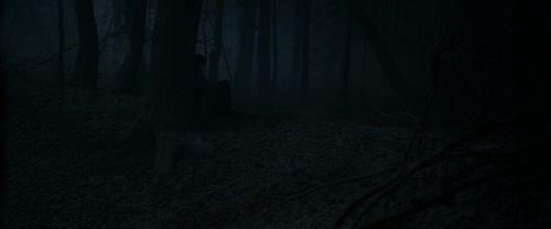 RdM1-Potterish9678.jpg