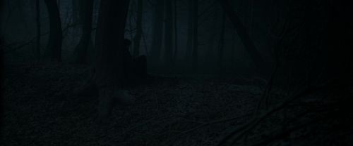 RdM1-Potterish9679.jpg