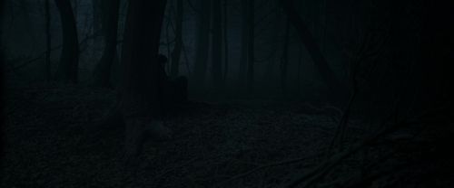 RdM1-Potterish9680.jpg