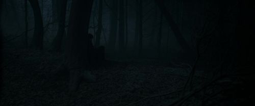 RdM1-Potterish9681.jpg