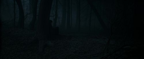 RdM1-Potterish9682.jpg