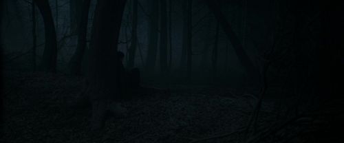 Click to view full size image
==============
RdM1-Potterish9683.jpg RdM1-Potterish9683.jpg